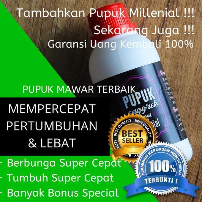 Terlaris Pupuk Khusus Bunga Mawar, Pupuk Untuk Mawar, Pupuk Bunga Mawar