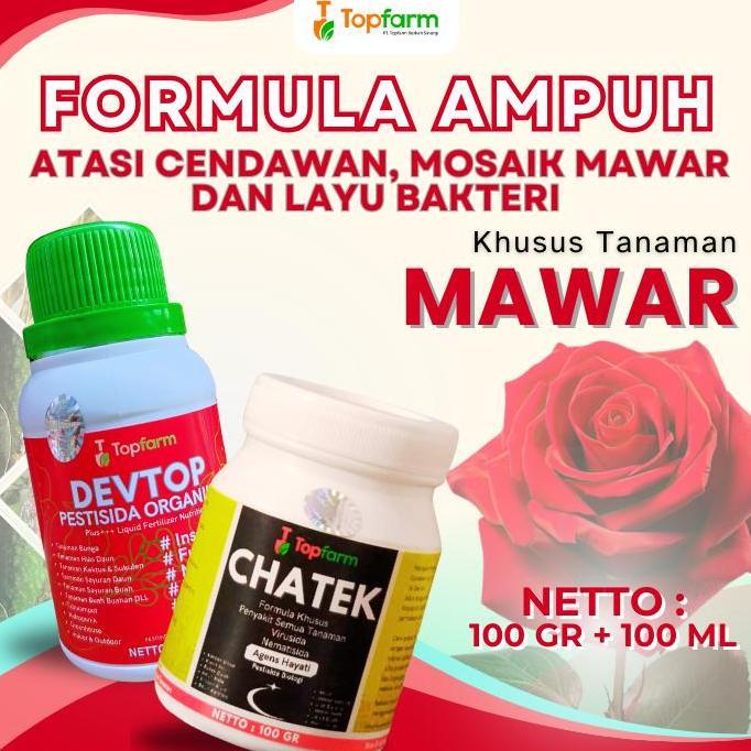 Obat Semprot Bunga Mawar - Pestisida Chatek Khusus Bunga Mawar - Obat Pembasmi Hama Tanaman Mawar / 
