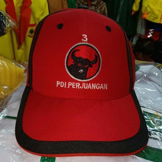 DE110 >> topi PDIP