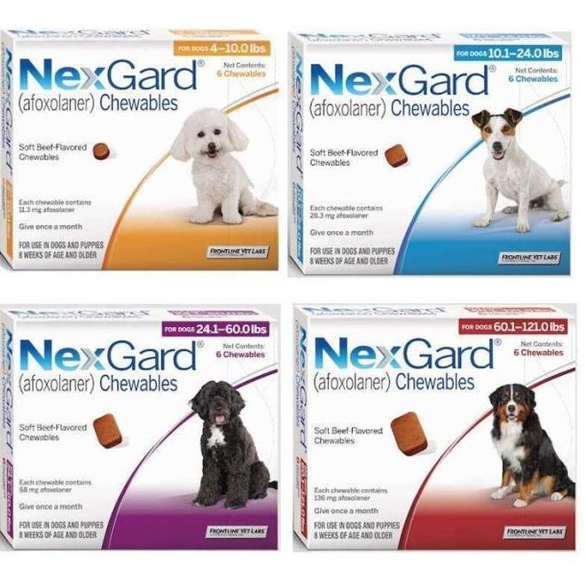 Kutu Anjing Dan Deex Nexgard Dog S M L Xl