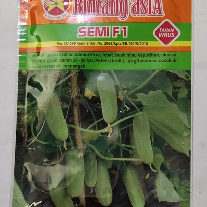 TERBARU - Benih baby timun SEMI F1 20 gram ketimun mini bintang asia Hijau Tanaman