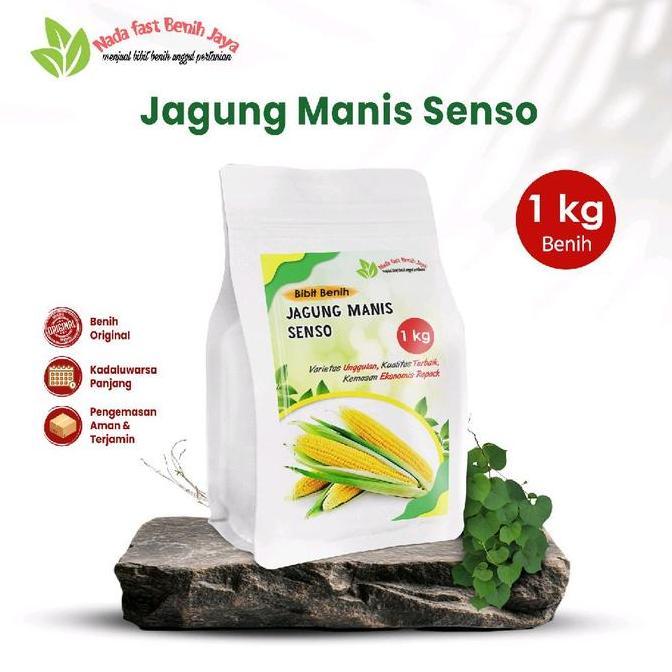 1 Kg Benih jagung manis senso / bibit jagung manis  tanaman