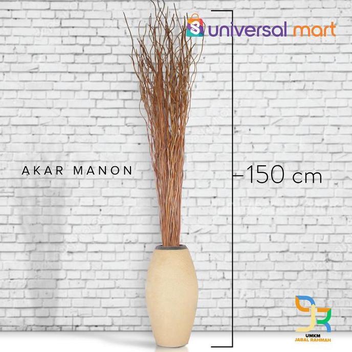 Akar Manon Kering Untuk Dekorasi Property Rumah Perlengkapan Pesta