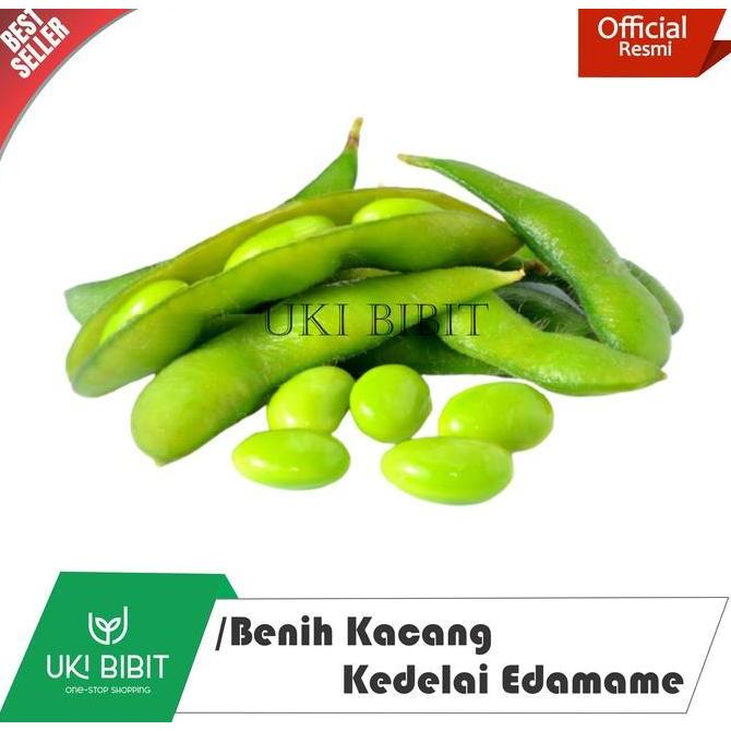 Terlaris ( 1 Kg ) Benih Kacang Kedelai Edamame