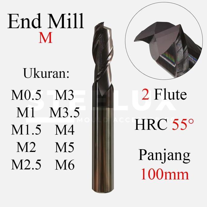 End Mill Carbide Leo Flat M0.5 M0.7 M1 M1.5 M2 M2.5 M3 M3.5 M4 M5 M6 x L100mm HRC55 2F Flute 2T Endm
