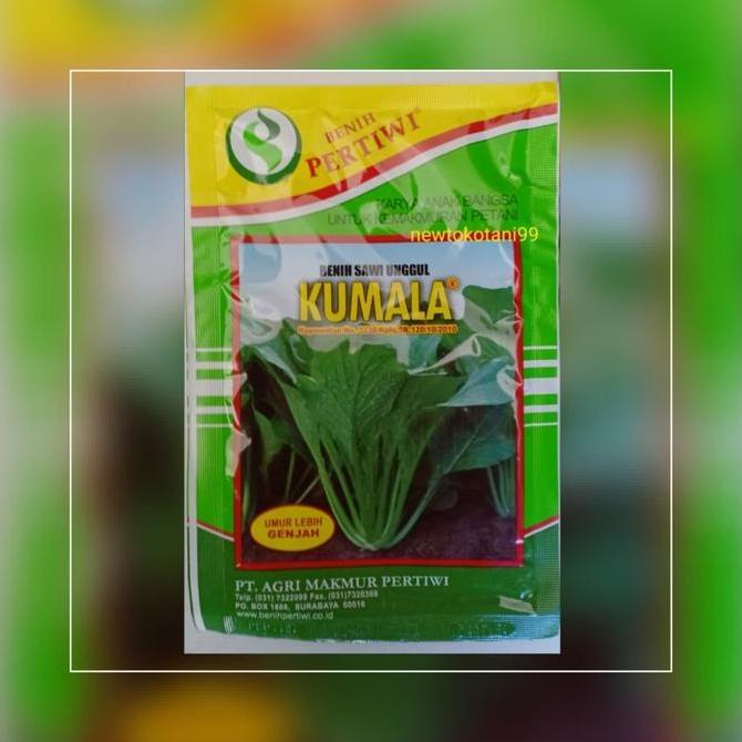 Benih Bibit Sawi Unggul Kumala 25 Gram Produksi Pertiwi Sawi Kumala