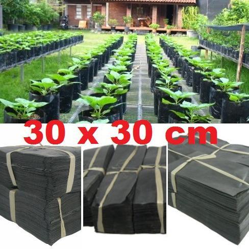 Bisa Cod Polybag 3030 Cm 0.5 Kg Polibag 30 X 30Cm Tanaman Semai Kiloan Kilo An ,,