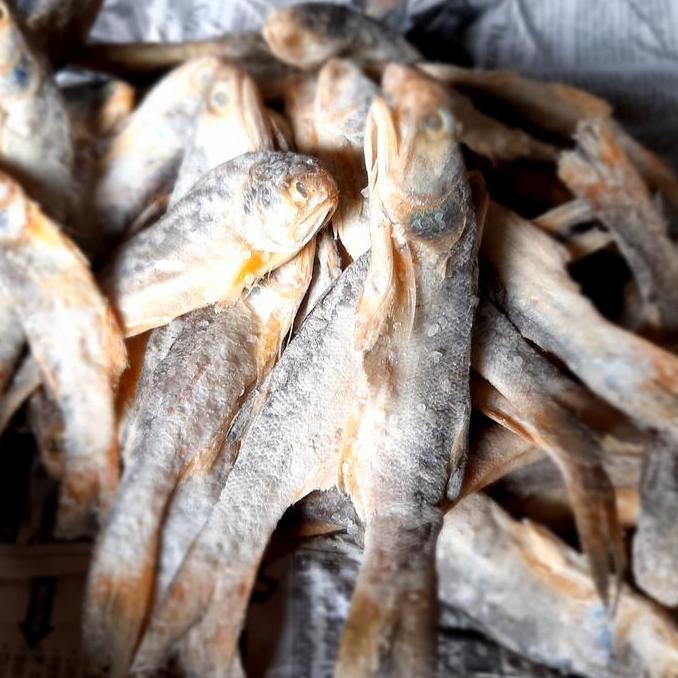 Ready Ikan Asin Sinangin Medan