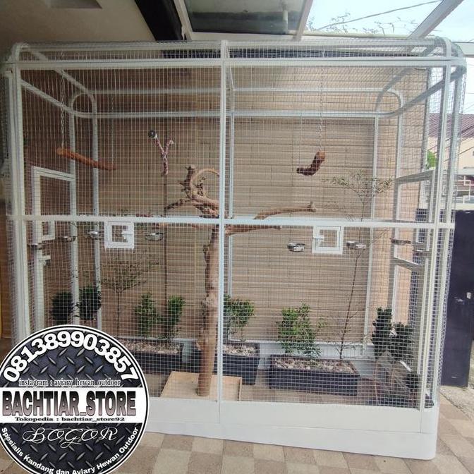 KANDANG AVIARY BURUNG PARUH BENGKOK