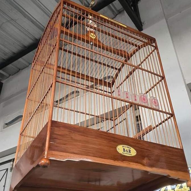 BnR reborn 2 sangkar nepak