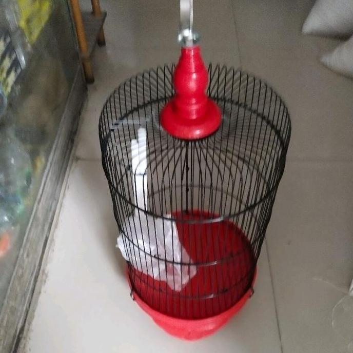 TERMURAH - sangkar besi import my best D27 buat burung kecil original
