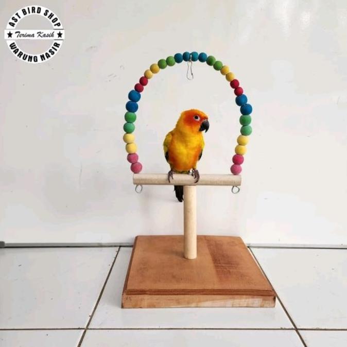 TERMURAH - Stand tangkringan burung sunconure cockatiel
