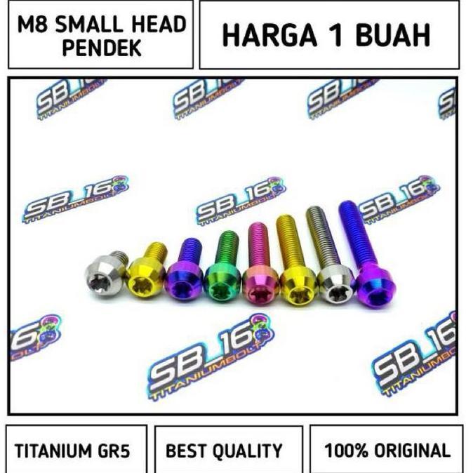 M8 SMALL HEAD TITANIUM GR5 (DRAT12) PENDEK