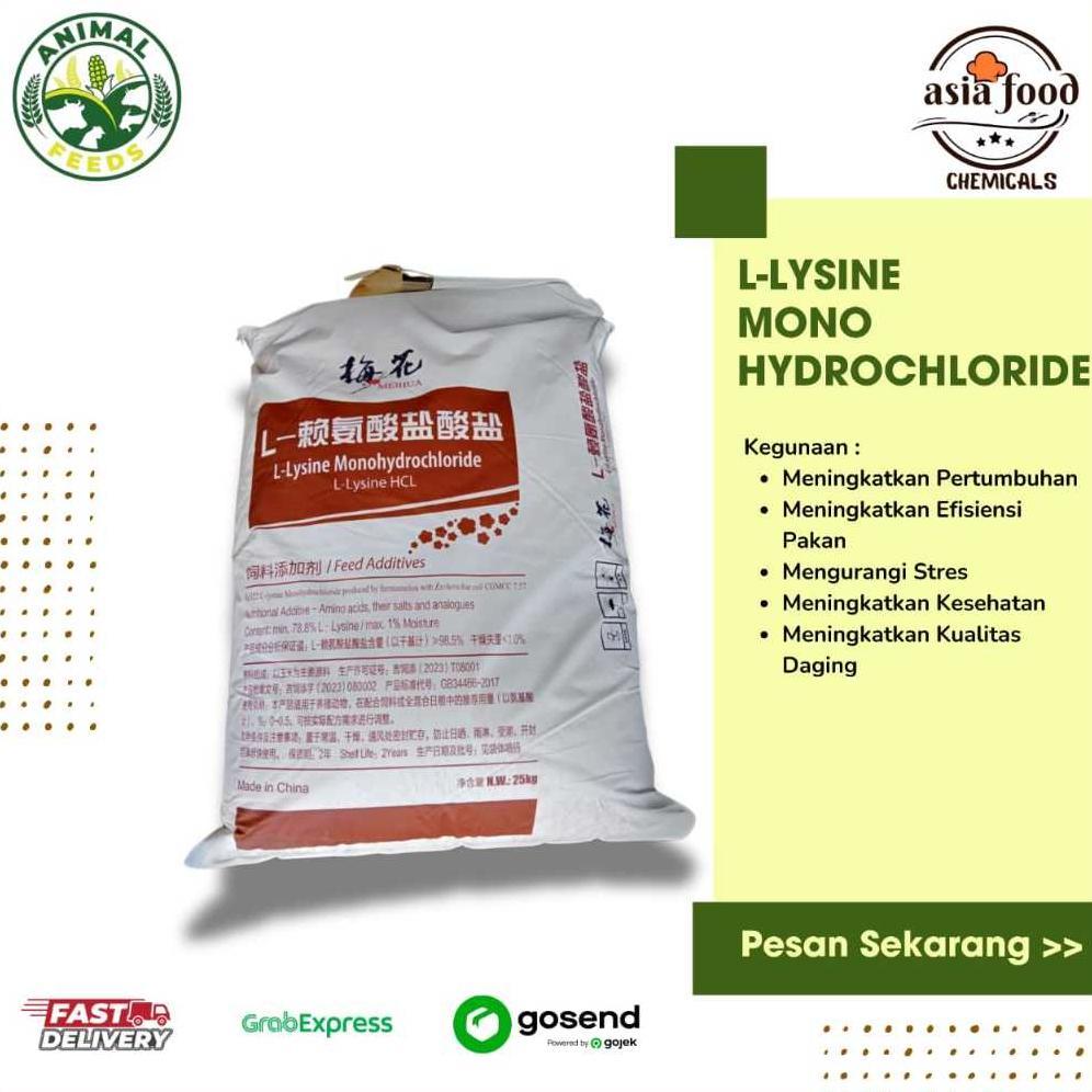 L-Lysine Lysine Hcl Suplemen Vitamin Hewan & Ternak