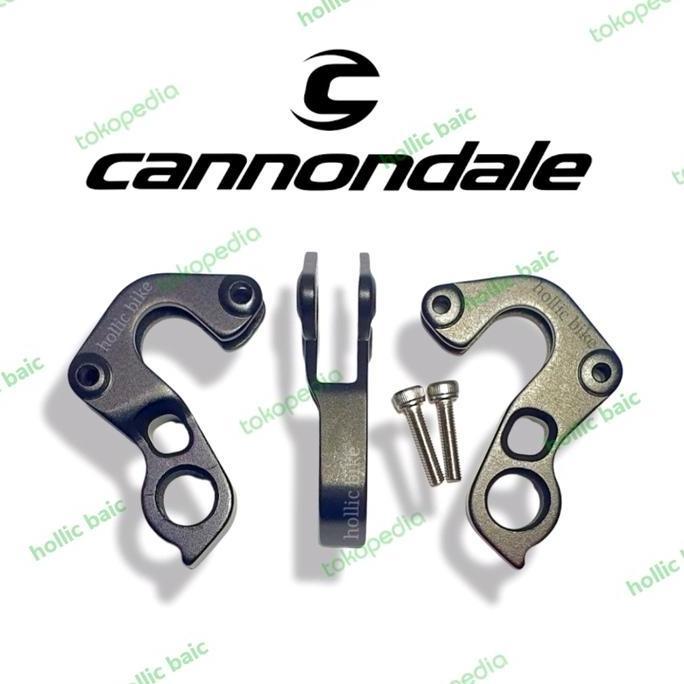 ANTING RD SEPEDA CANNONDALE CAAD 10 SUPERSIX DERAILLEUR HANGER DROPOUT