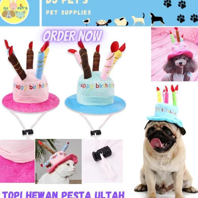 Topi Anjing Dan Topi Kucing Topi Ulang Tahun Topi Party