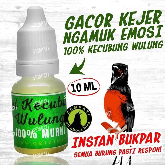 SEMPATI Sari Kecubung Wulung Vitamin Penggacor Burung Lovebird Murai Kacer Kenari 100% Kecubung Murn