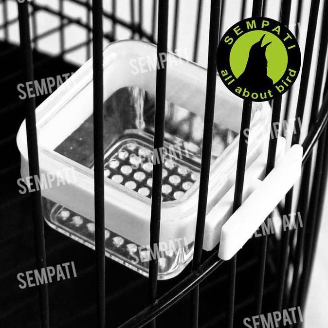 SEMPATI Cepuk Kroto Kotak Maxglo Max Glo Cepuk Wadah Ulat Jangkrik Pur Kotak Bening Transparan Wadah