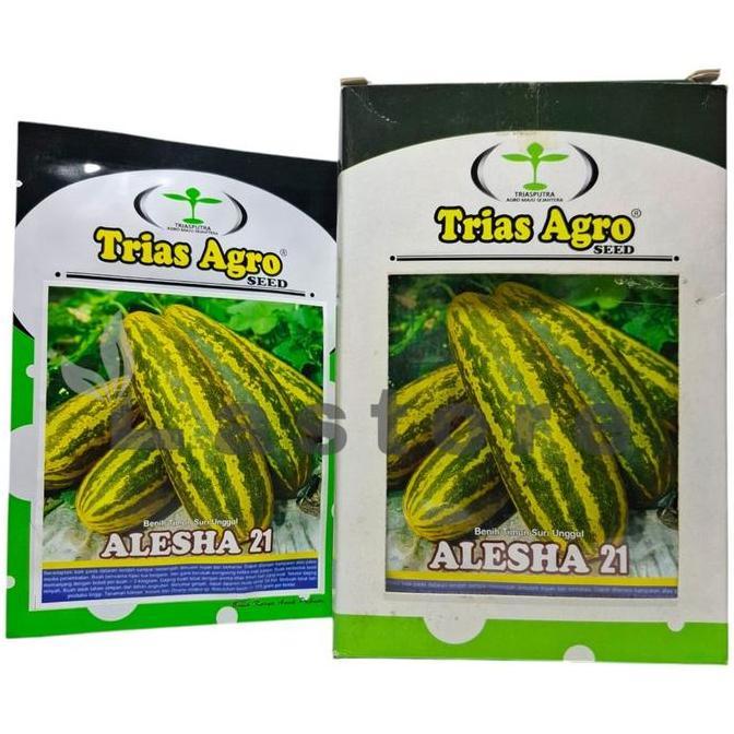 Benih Timun Suri Loreng ALESHA 21 Isi 10 gram Trias Agro Seed