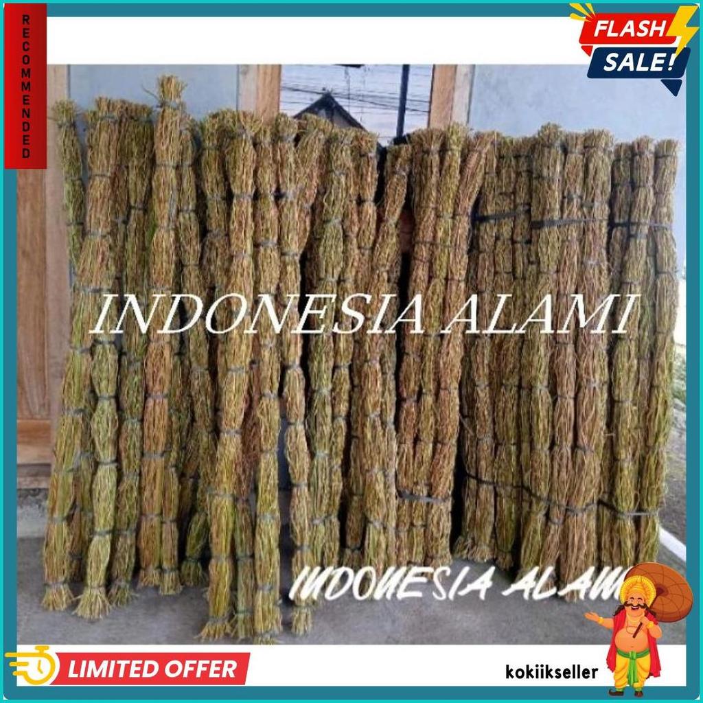 Wajib Punya! Akar Manon Isi 100 Panjang 150 Cm Akar Manon 1 Ikat 100 Batang Akar Manon Dekorasi