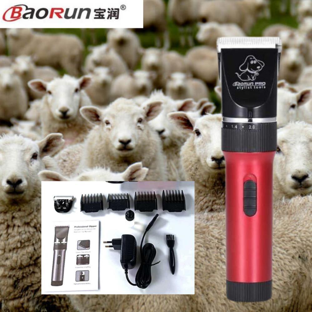 COD P6 BaoRun  Mesin Alat Cukur Bulu hewan domba garut kambing kucing di cas bagus super tajam P6