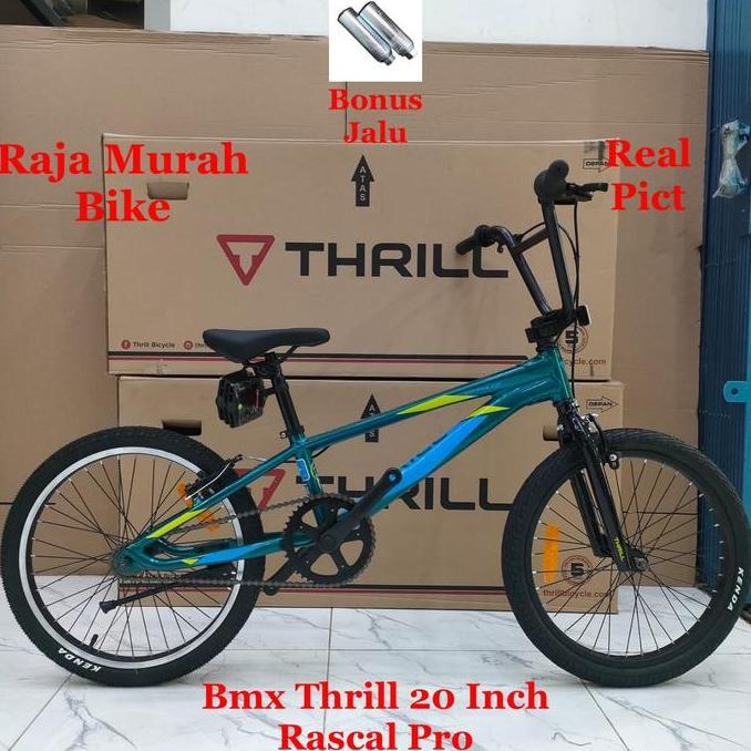 Sepeda Bmx 20 Thrill Rascal Pro Frame Alloy Sepeda Anak Terbaru Bmx Thrill Rascal Pro 20 Inch
