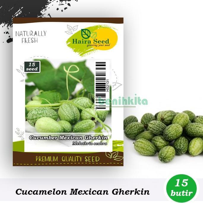 Benih-Bibit Cucamelon Mexican Gherkin (Haira Seed)