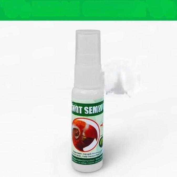 SNOT SEMBUH SEKETIKA SEMPATI OBAT BURUNG SAKIT MATA KATARAK BENGKAK