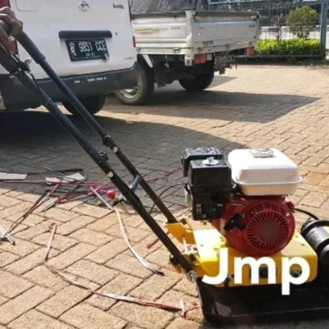 Stamper Kodok Maestro