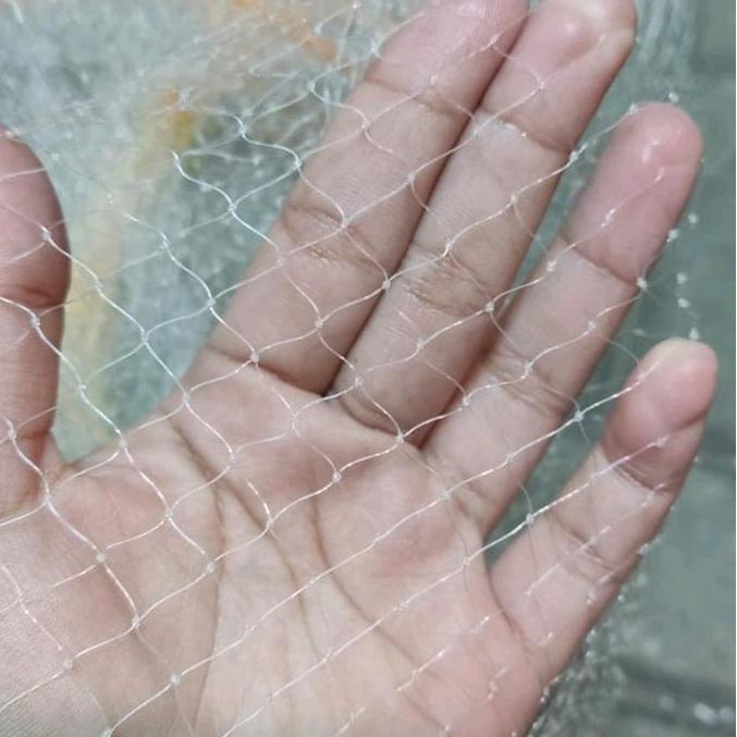 jala lempar 2,5 meter bahan senar ,  jala ikan,  jala udang,  lubang 3/4 in / jari kelingking