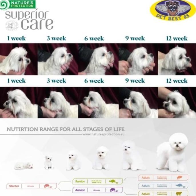 Dogfood Natures Protection White Dog Junior 250gr Superior Care Makanan Anjing Bulu Putih