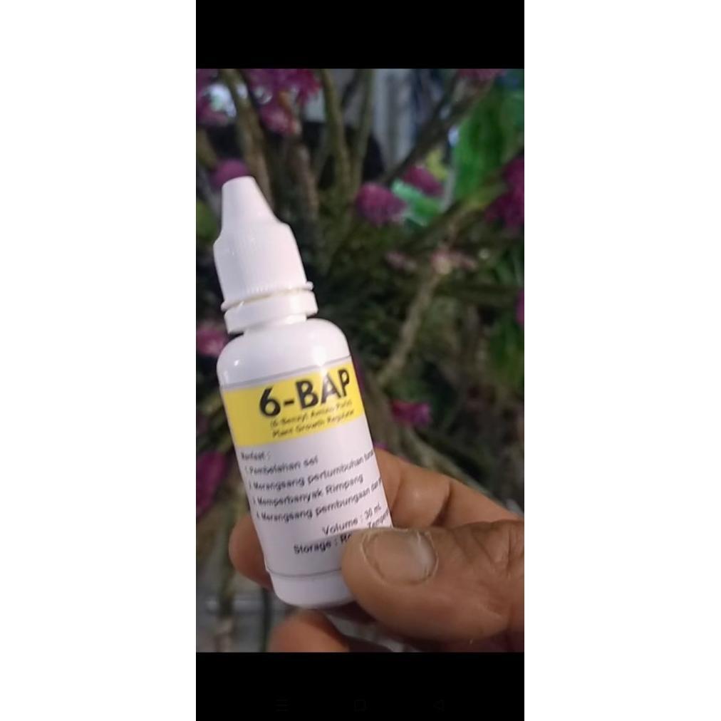 Promo Cod "Promo Hormon Anggrek 6Bap" (Perangsang Tunas & Pembungaan Anggrek) 