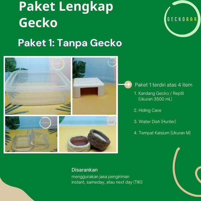 Paket Lengkap Gecko (Tanpa Gecko)
