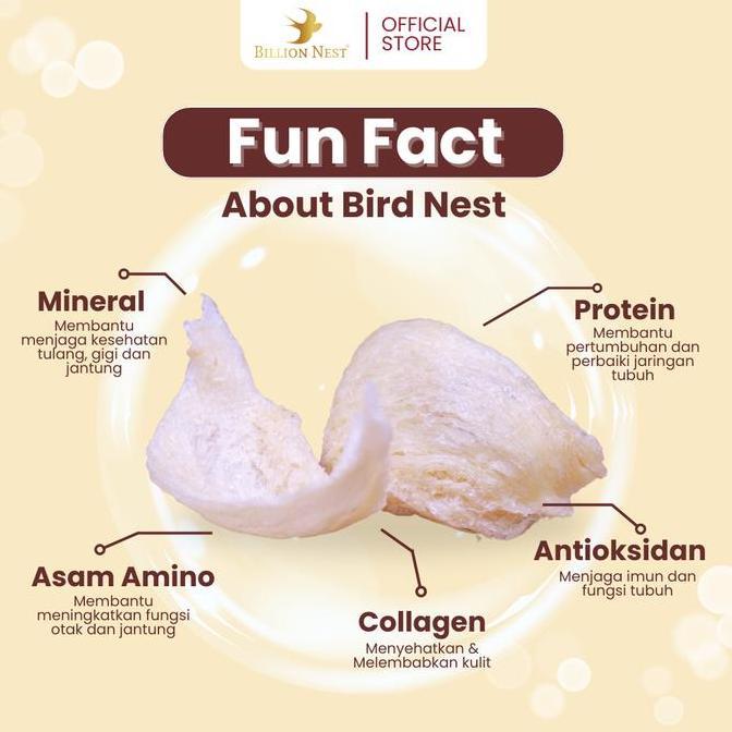 HAMPERS Billion Nest Bird's Nest Premium pene