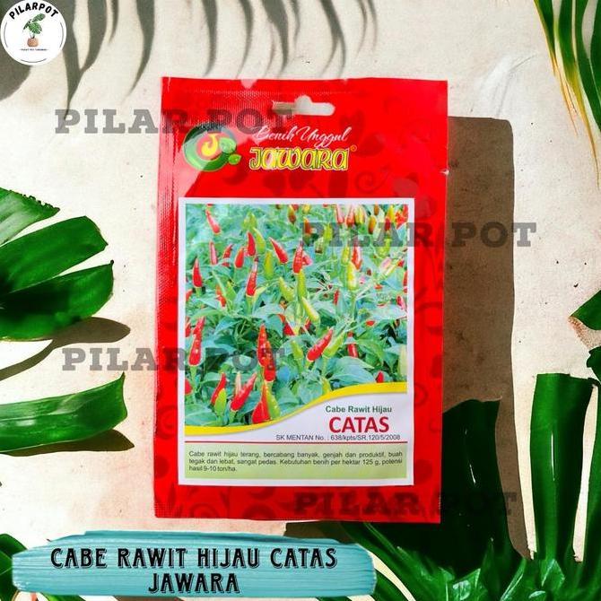 Benih Bibit Cabe Rawit Hijau Benih Unggul Jawara - CABE RAWIT CATAS