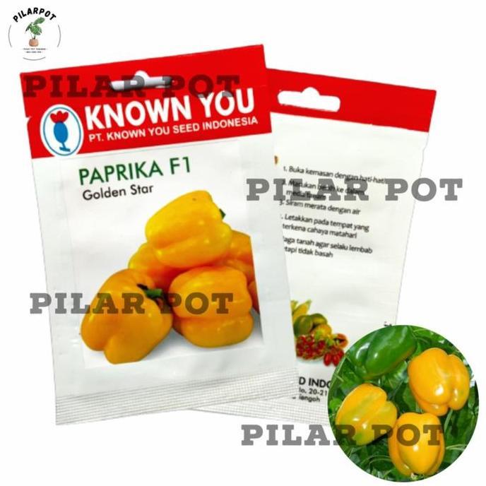 Benih Bibit Paprika F1 Kuning Golden Star Known You Seed - KYS PAPRIKA F1 GOLDEN STAR  Benih Paprika