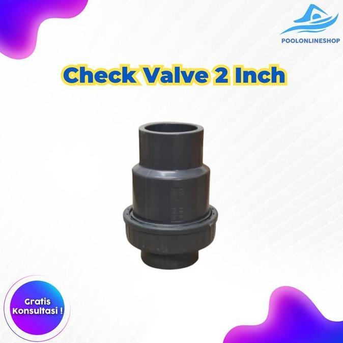 Kualitas terbaik] Check Valve PVC 2 Inch / PVC 2Inch