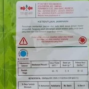 New- Benih cabe rawit DEWATA 43 F1 2.250 butir benih cabe rawit putih