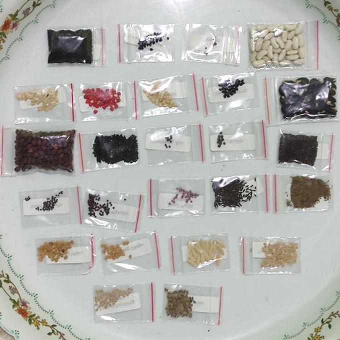 New- Paket 25 Macam Benih Sayuran Pemula 30 Hari Panen Bibit Sayuran