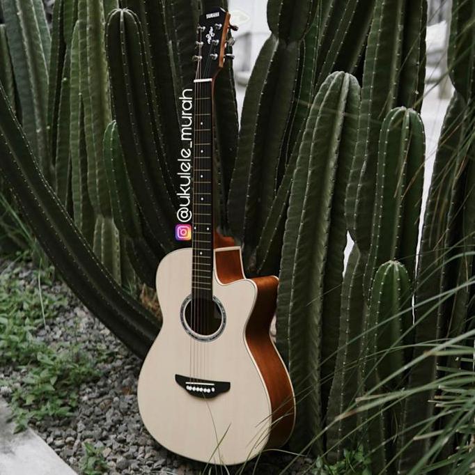 Gitar Akustik Elektrik Pemula Fullset Lengkap