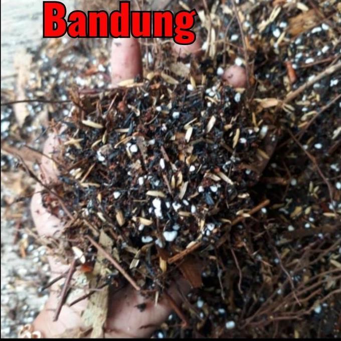 New- Media tanam ajaib 5 kg, metan aglonema, metan varigata, metan premium