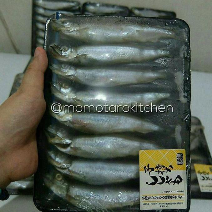 Terlaris Ikan Shisamo / Shisamo Fish