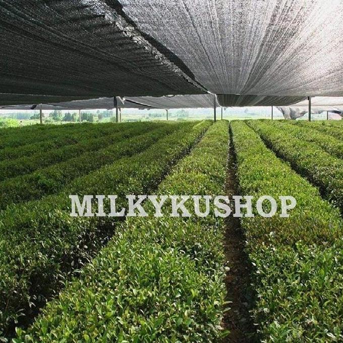 PARANET 75% LEBAR 5 METER JUAL PER 1 METER SHADING NET JARING ATAP