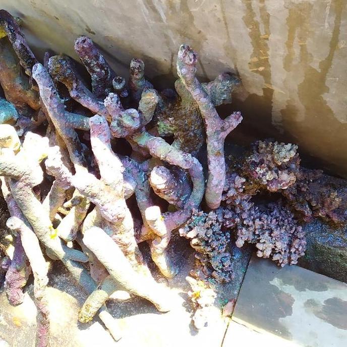 (Allthebest) live rock