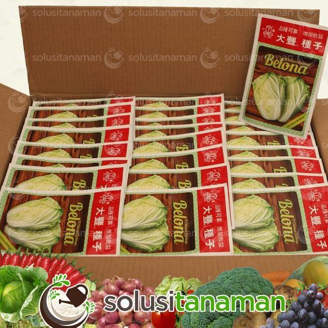 Benih Sayur Sayuran Sawi Putih BelonaF1@10gr Benih Hidroponik Organik