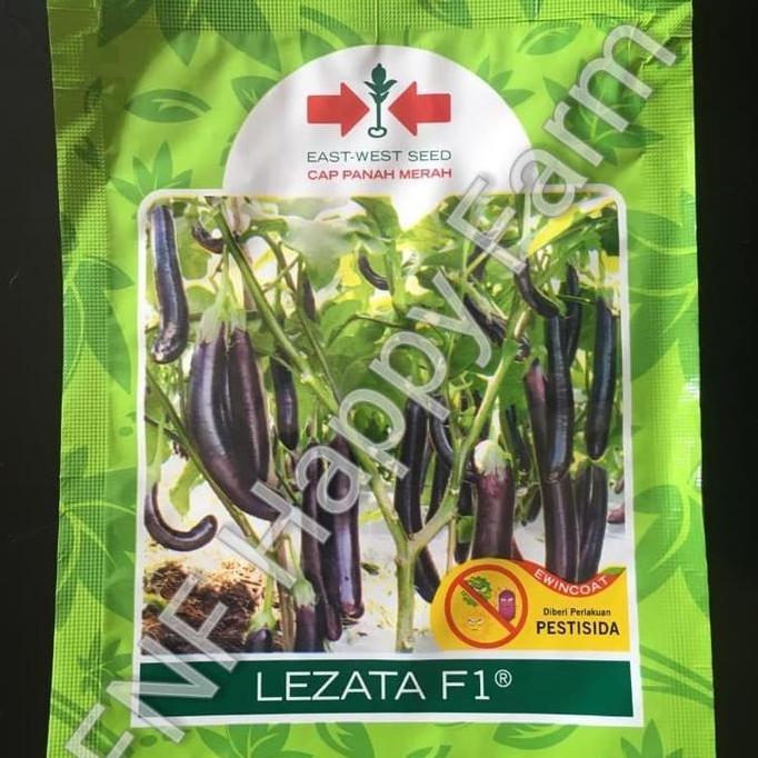 Benih Terong Ungu Lezata 1100butir