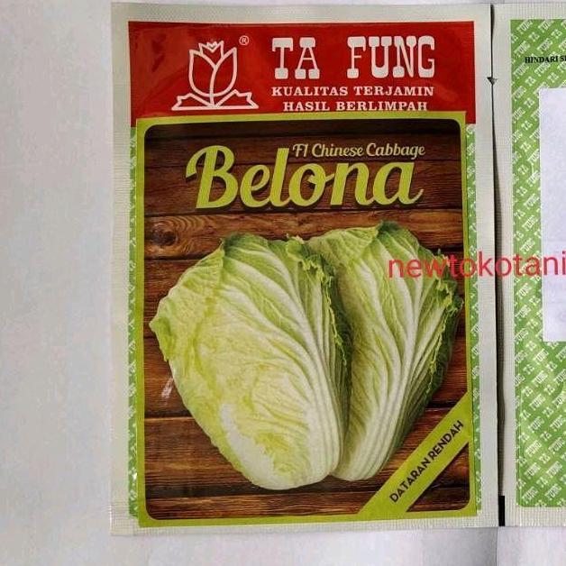 Benih kubis sawi putih BELONA F1 10 gram chinese cabbage hibrida dari tafung belona