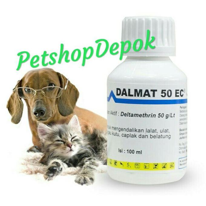 DALMAT 100 ML -Obat kutu Dalmat 100 ml/Obat kutu Anjing DALMAT