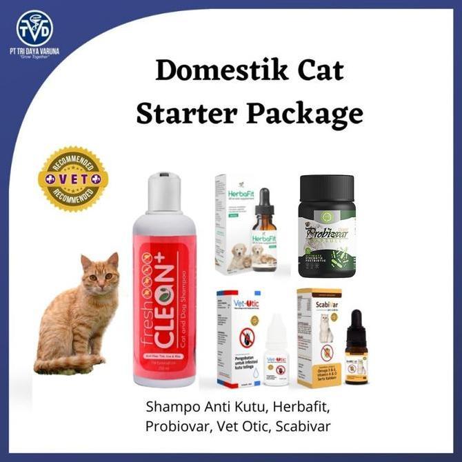 Paket kesehatan Kucing Domestik