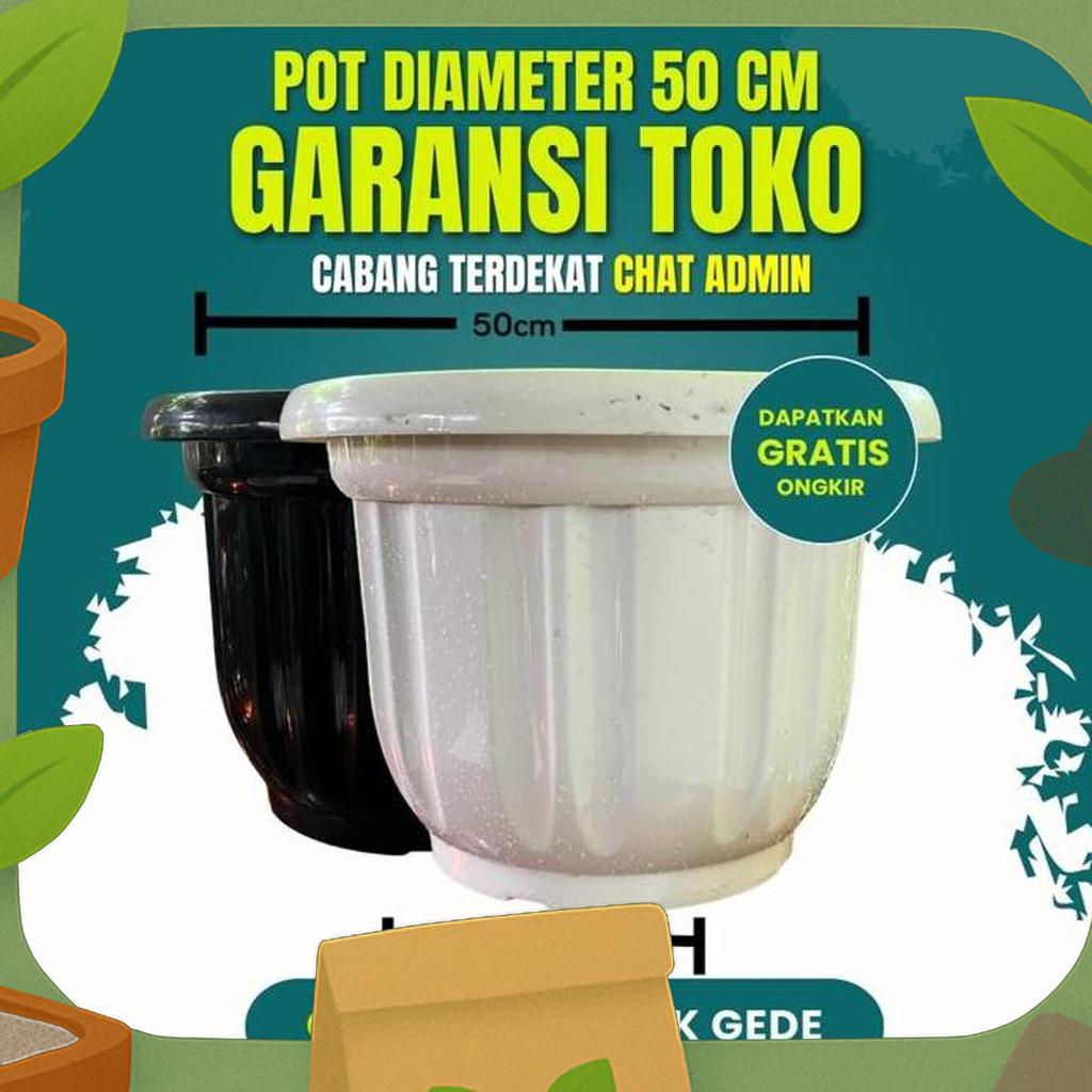 Grosir Lokasi Pondok Gede Pot 50 Cm Tanaman Merk Gloria Besar Murah